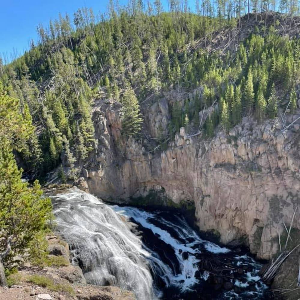 Meet your Posher, Ana laura